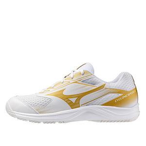 Mizuno Cyclone Speed 5 Volleyball Shoes