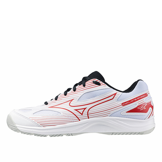 Mizuno vball shoes best sale