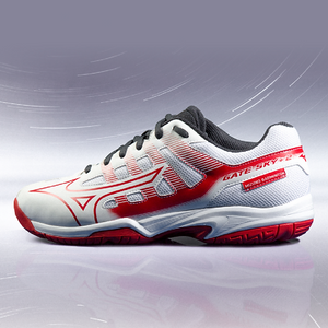 Mizuno Gate Sky Plus 2